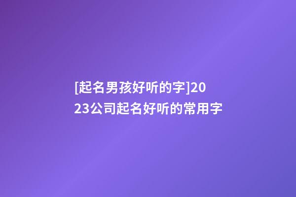 [起名男孩好听的字]2023公司起名好听的常用字-第1张-公司起名-玄机派